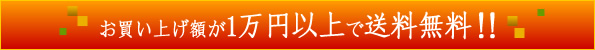 お買い上げ金額1万円以上で送料サービス